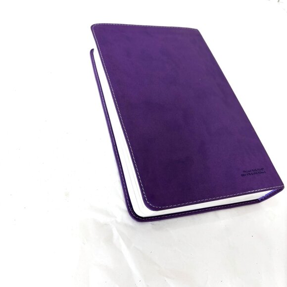NIV Adventure Bible for Early Readers Children Faux Leather Purple Cover - Picture 12 of 14